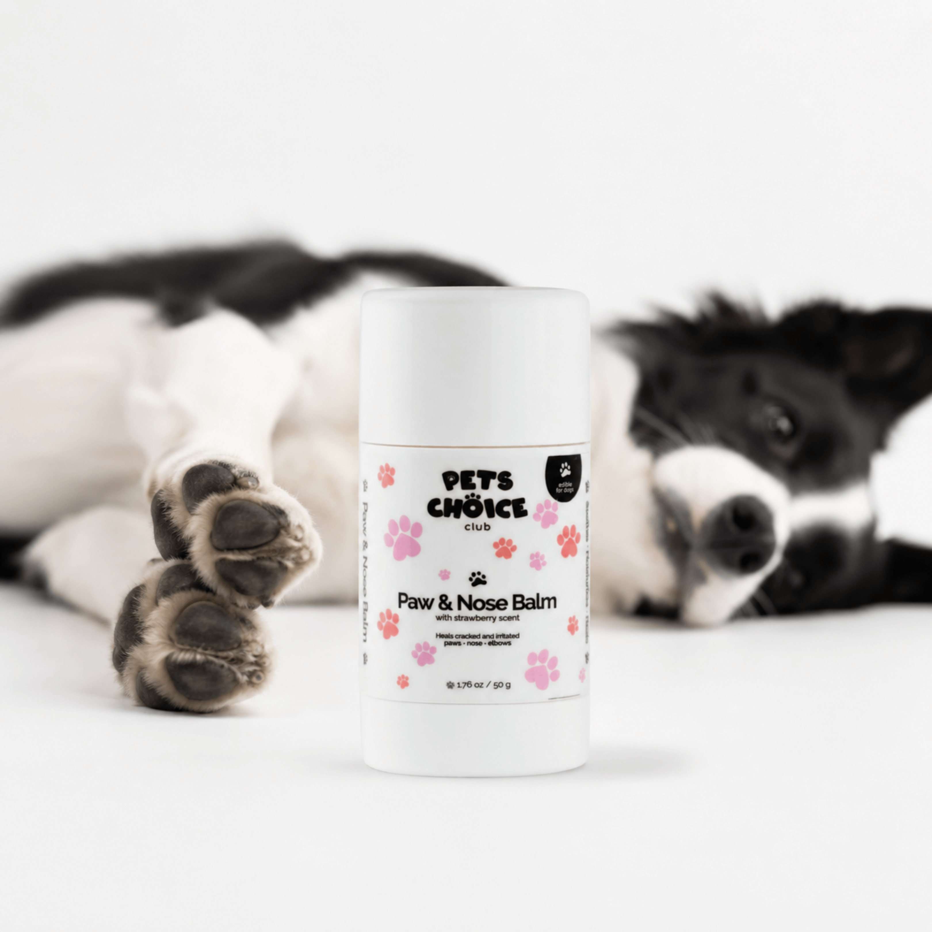 Balsam do łap i nosa psa 50 g – PetsChoice