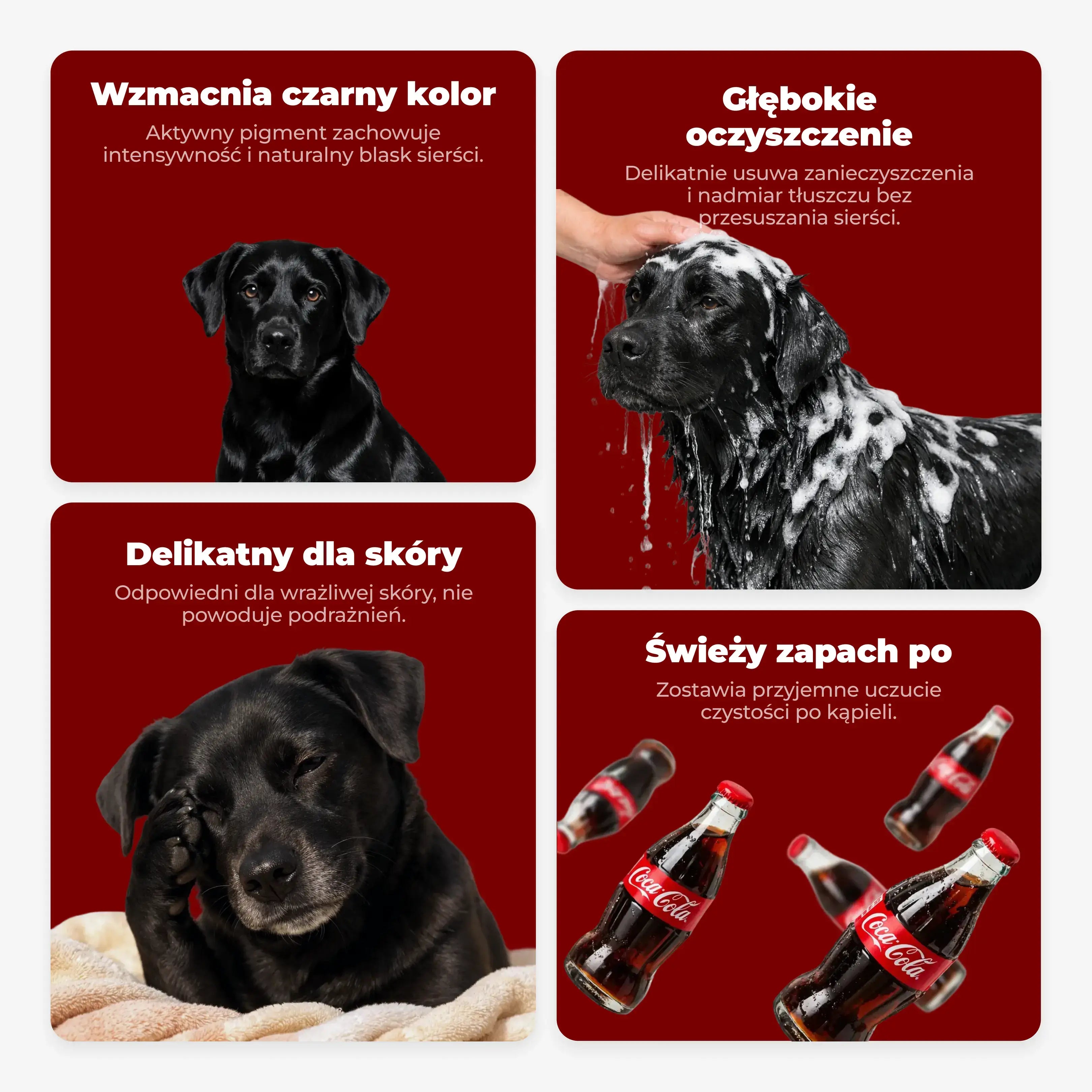 Szampon dla czarnych psów Black Coat 350 ml – PetsChoice
