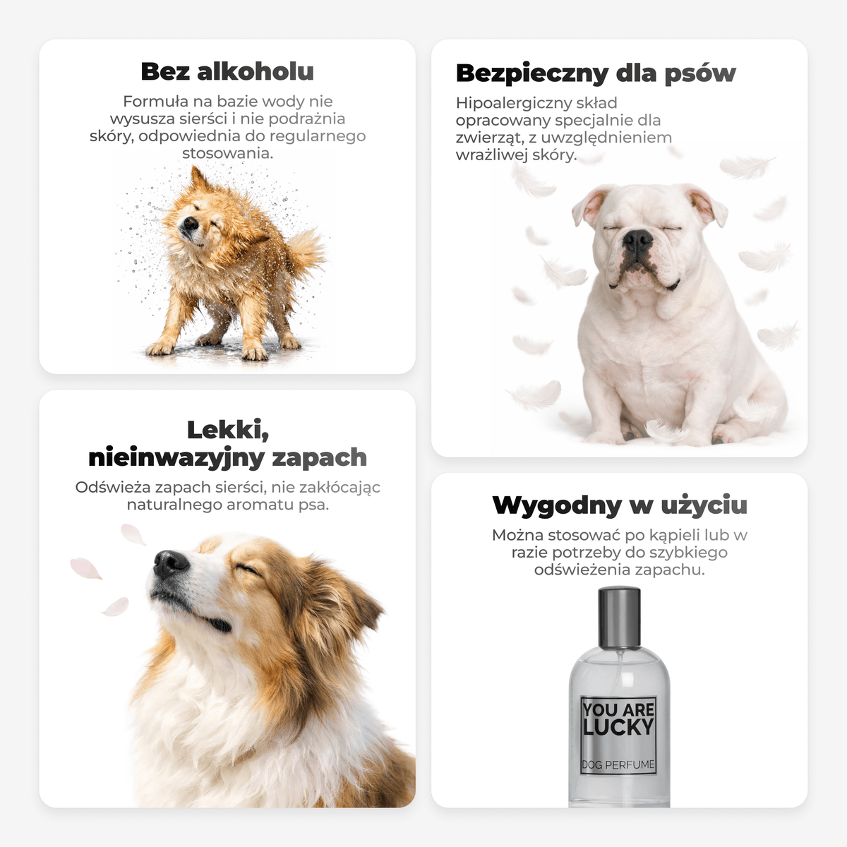 Perfumy dla psa YOU ARE LUCKY – sposób aplikacji