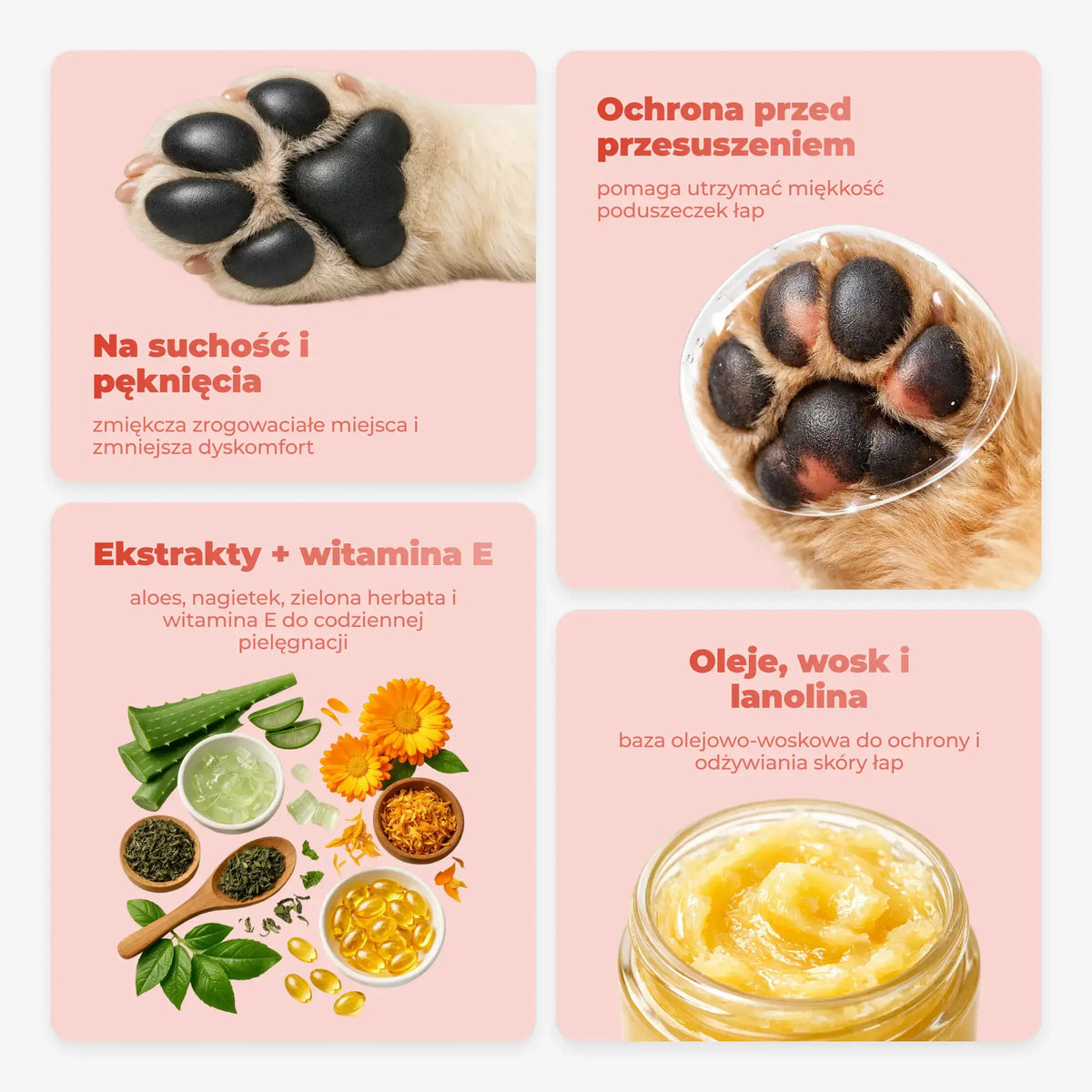 Balsam do łap i nosa psa – pielęgnacja opuszek